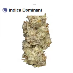 Slurricane — Michigan Top Shelf