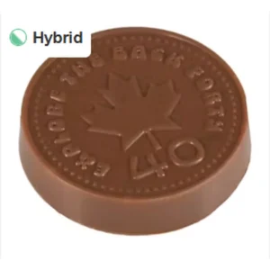 S'Mores 1 Pack Chocolates