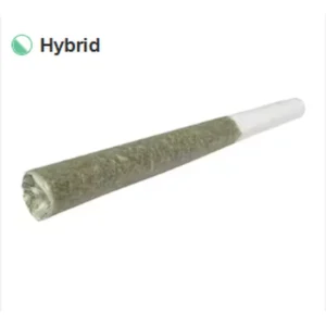 blueberry-pie-pre-roll-1g