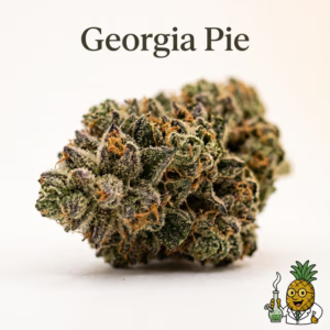 georgia-pie-19-most-popular-2026